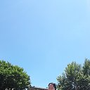 ���� �����, ������, 43 ���� - ��������� 13 ���� 2026 � ������ ���� ����������
