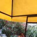 ���� ������, ������, 52 ���� - ��������� 11 ��� 2025 � ������ ���� ����������