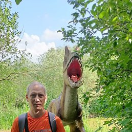 , 41 , -