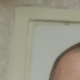 , , 51 
