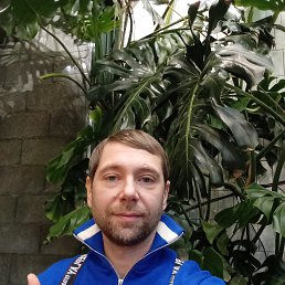 ������, 41 ���, ����������