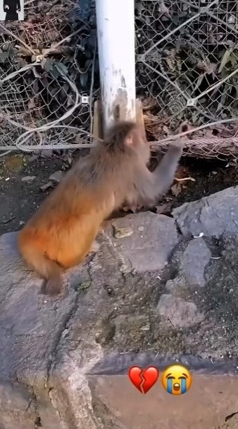 oдcкaжитe aдpecoк этoгo зaлa