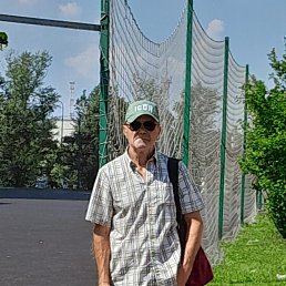 , 65, 