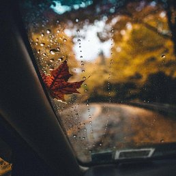 ���� �������, ���������, 41 ��� - ��������� 20 ������� 2025