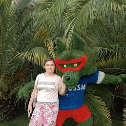 ����, 33 ����, ����