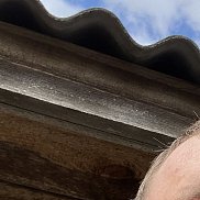 ��������, 23 ����, �����������