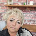���� ��������, ���������, 49 ��� - ��������� 17 ���� 2026 � ������ ���� ����������