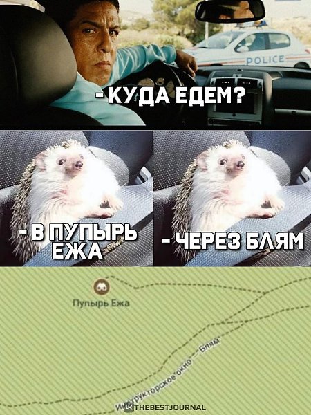 Чего смотришь, застыл тутЕжа давай вези и не беси