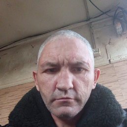 , 44,  