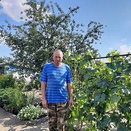 ����, ������, 67 ���