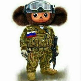 ���� Mihail, �������, 57 ��� - ��������� 8 ��� 2025