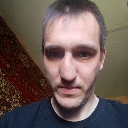 , 29, 