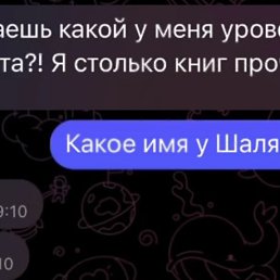 ���� �����, �������� - ��������� 17 ���� 2026