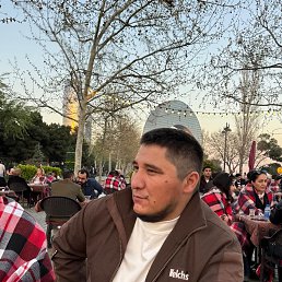 , 33, 