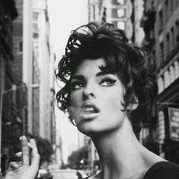 �����, ����, 33 ����