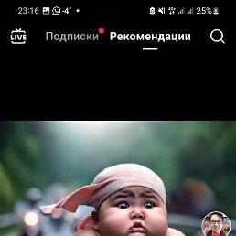 ���� �����, ������, 44 ���� - ��������� 21 ������ 2024