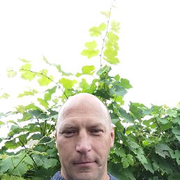 , 45 , 