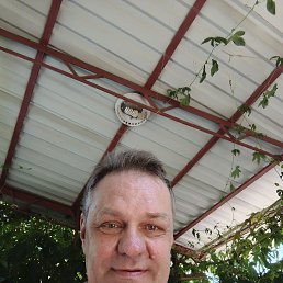 , 61, 