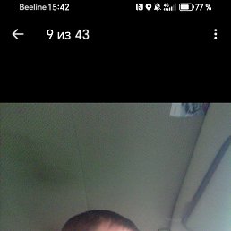 , 37, 