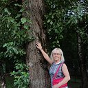 ���� �����, ������, 53 ���� - ��������� 8 ������� 2025 � ������ ���� ����������