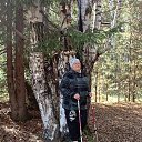 ���� �����, ������������, 64 ���� - ��������� 9 ������� 2025 � ������ ���� ����������