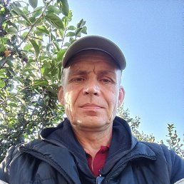 , 47 , 