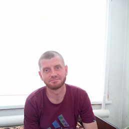 , 40, 