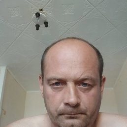 , 41 , 