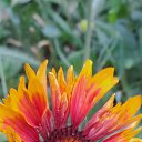 ���� ��������, ���������, 57 ��� - ��������� 10 ������� 2025