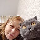 ���� �����, �����������, 46 ��� - ��������� 15 ������� 2026 � ������ ���� ����������