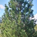 ���� �������, ��������� - ��������� 11 ������� 2025 � ������ ������ ��������