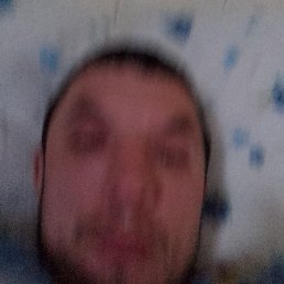 �����, �������, 41 ���