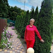 ���������, , �����