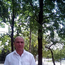 , 59,  