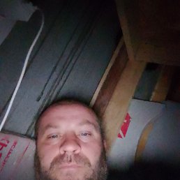 , 38, 