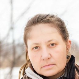 , 53, 