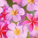 ���� ����, ������, 63 ���� - ��������� 22 ������� 2025