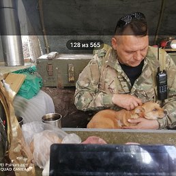 ������, 55 ���, ������