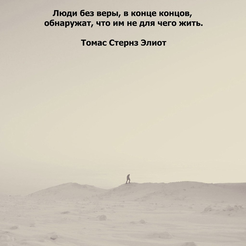 Want it!   ... - 17  2025  17:16