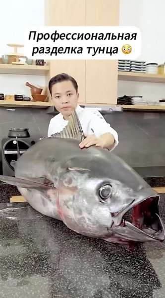 ��������� �������.��������