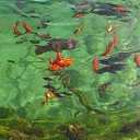 ���� �����, ������, 42 ���� - ��������� 25 ������� 2024 � ������ ���� ����������