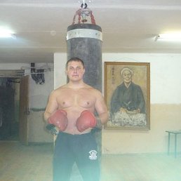 , 41, 