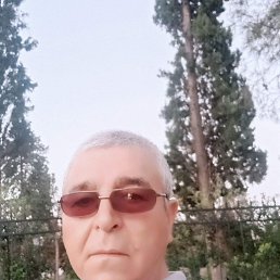, 65, 