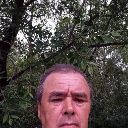 , 56, 