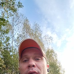 ���� ������, ������ ��������, 43 ���� - ��������� 8 ������ 2024