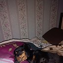 ���� ������, ���������, 47 ��� - ��������� 13 ������ 2023 � ������ ���� ����������