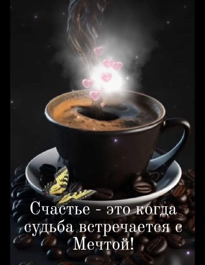 Stella - 13  2024  00:51