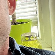 ��������, 44 ����, ������-��-����