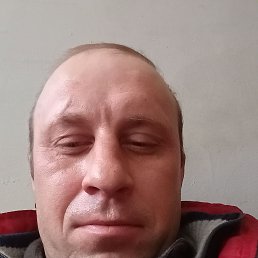  , 41, 