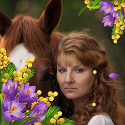 ���� �����, ����, 48 ��� - ��������� 9 ������ 2026